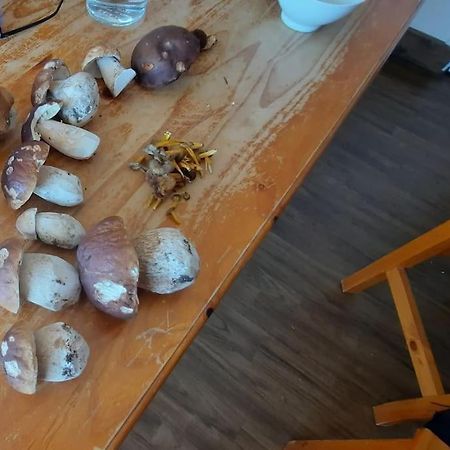 Appartement Vercors 4 Personnes Autrans-Meaudre-en-Vercors Bagian luar foto