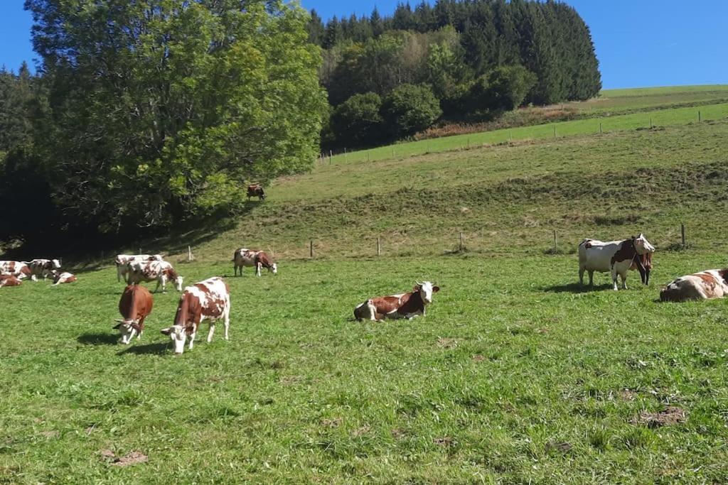 Appartement Vercors 4 Personnes Autrans-Meaudre-en-Vercors Bagian luar foto